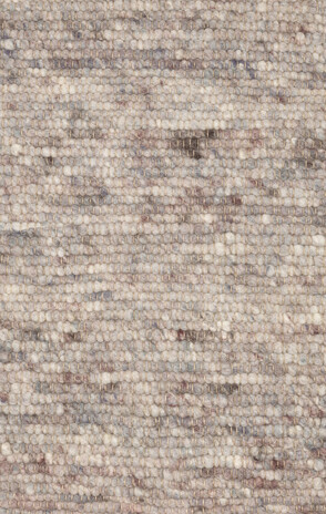 Ctychi-1491